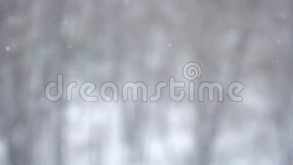 降雪背景视频的预览图
