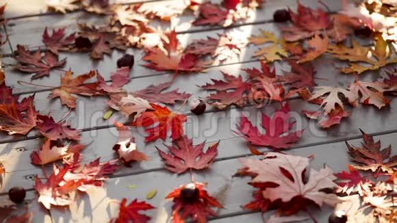 秋天的落叶被毁坏的旧石阶上的红色和黄色叶子勃艮第玛萨拉色帽子视频的预览图