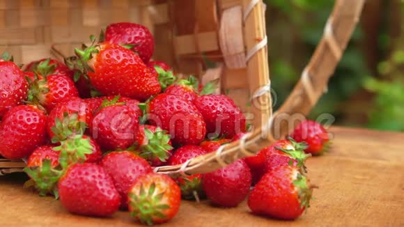 一篮子新鲜草莓的特写视频的预览图