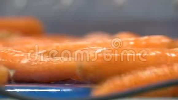 蔬菜加工厂中的生胡萝卜视频的预览图