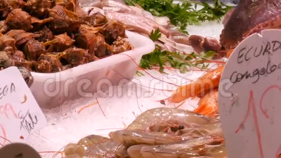 与新鲜不同的鱼类贻贝虾甲壳类动物在冰上对抗LaBoqueria的鱼市场有用的海鲜视频的预览图