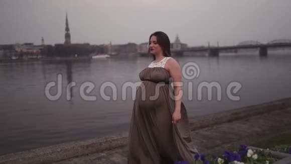 年轻的孕妇在旅行目的地国家拉脱维亚可以看到里加市和达加瓦河视频的预览图
