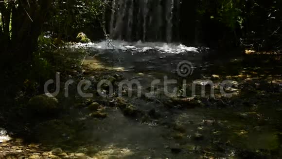 森林中河流的瀑布或瀑布视频的预览图