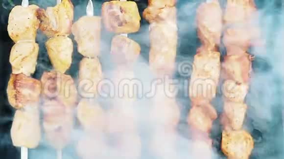 在布拉齐耶的户外烤肉串上烹饪烧烤沙士利克烤肉视频的预览图