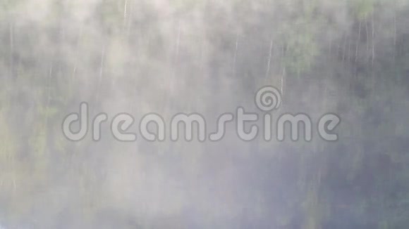 雾蒙蒙的晨雾和鸟鸣笼罩着河流的森林视频的预览图