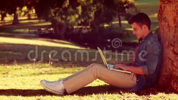 坐在树上用笔记本电脑的年轻人视频的预览图