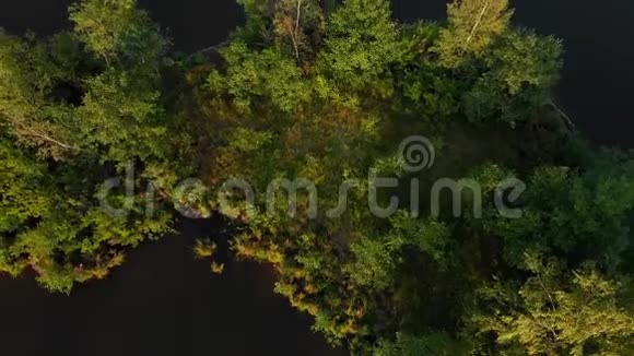列宁格勒地区4K湖岛上空的空中录像视频的预览图