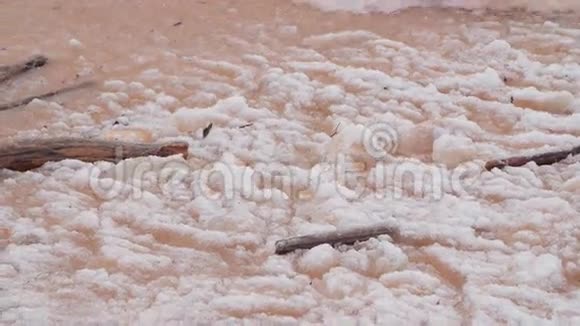 厚厚的积雪和海冰木头碎片挥舞着视频的预览图