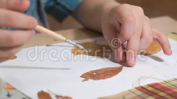 孩子用树叶做标本室特写镜头视频的预览图