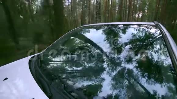 树木挡风玻璃中的森林反射汽车穿过森林车载摄像机视频的预览图