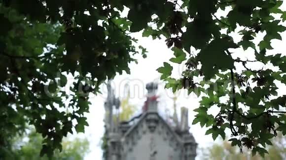 哥德天主教家族墓地视频的预览图