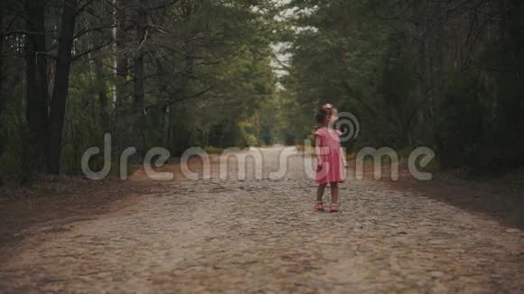 夏天女孩走在森林道路上视频的预览图