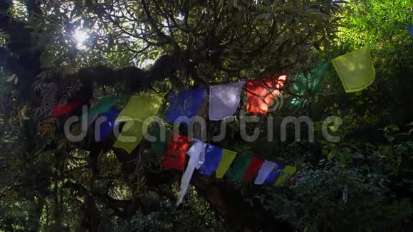 佛教祈祷旗悬挂在尼泊尔的徒步路径在喜马拉雅山探险视频的预览图