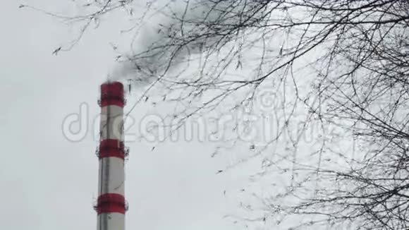 工厂的烟囱在灰色的天空中冒烟视频的预览图
