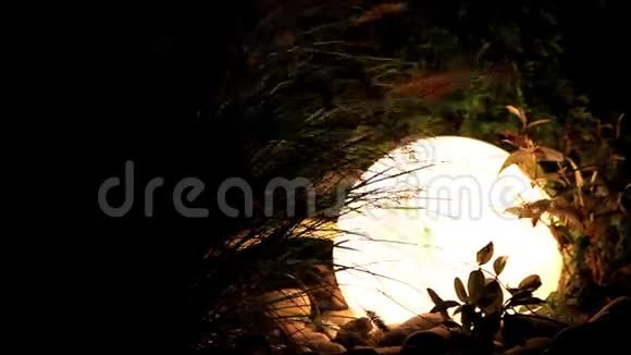 夜晚的花园灯光发光视频的预览图
