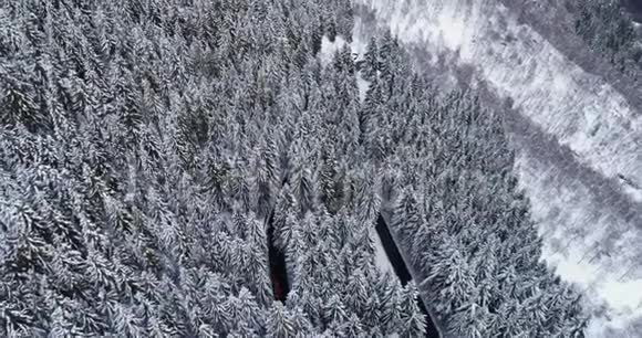前方鸟瞰簪弯转弯路在山雪覆盖冬林白色松树树林白雪公主视频的预览图