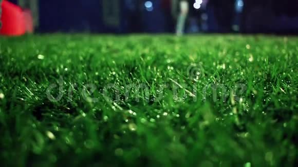 绿草如茵特写镜头把草坪收起来草地背景草地足球场视频的预览图