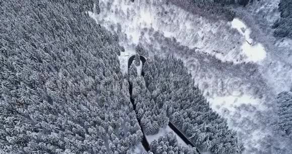 前方鸟瞰簪弯转弯路在山雪覆盖冬林白色松树树林白雪公主视频的预览图
