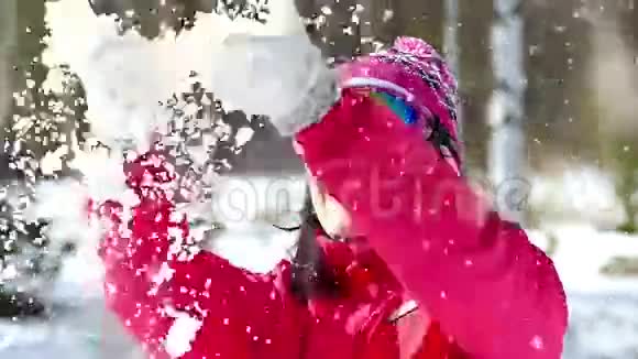 雪中的欢乐和乐趣视频的预览图