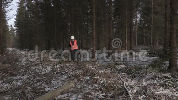 伐木工人在被毁的森林里工作视频的预览图