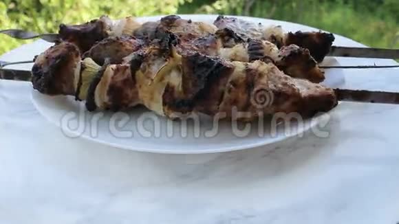 肉串上的肉在盘子上转动背景景色很美大自然中的什什烤肉串烧烤的录像视频的预览图