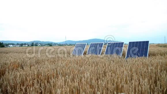 夏天的金色田野有太阳能电池板视频的预览图