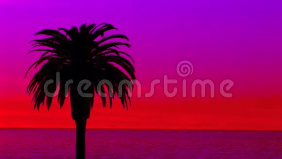 红天王后棕榈日月光滩视频的预览图
