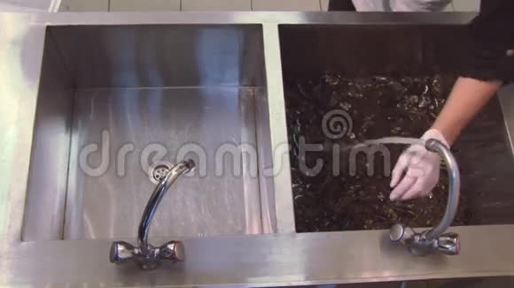 戴手套的人把刀海绵放在水槽里在水中喷射的生贻贝厨房清洁视频的预览图