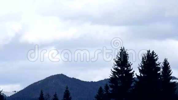 枞树的轮廓在山和云的背景上摇摆视频的预览图