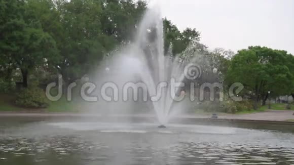 路易斯阿姆斯特朗公园和喷泉在新奥尔良路易斯安那州视频的预览图