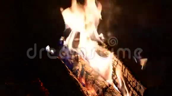 燃烧的原木视频的预览图