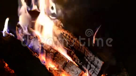 燃烧的原木视频的预览图
