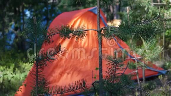 在林间空地上露营帐篷视频的预览图