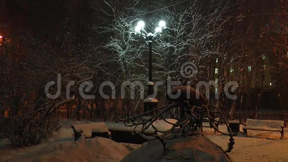 夜晚白雪覆盖的广场有一座以鱼和路灯的形式的纪念碑照亮了飘落的雪视频的预览图