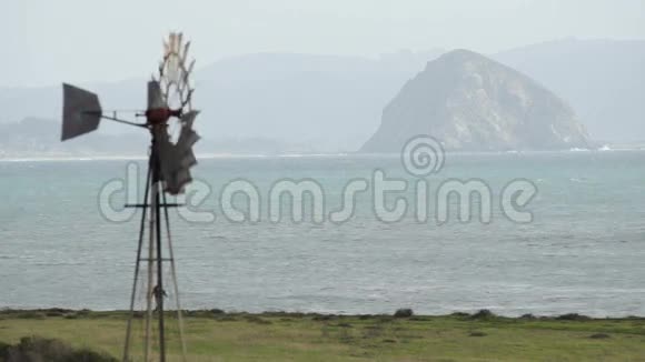 西海岸风车男子海滩与狗太平洋视频的预览图