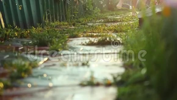 潮湿的男孩跑在花园的小径上在美丽的花朵之间享受大自然在夏天的户外在缓慢的运动中视频的预览图