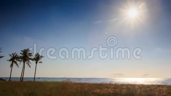 天空中的太阳在沙滩上的阳光反射棕榈草视频的预览图