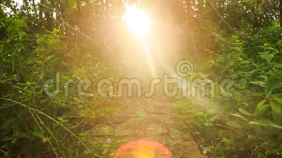 太阳反射光斑在背景下从路径移动到太阳光视频的预览图