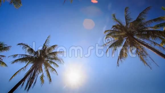 摄像机从下太阳蓝天穿过手掌视频的预览图