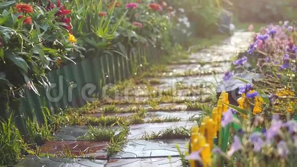 花圃中神奇的神奇小路被阳光照射缓慢地在模糊的背景上产生强烈的耀斑效应视频的预览图