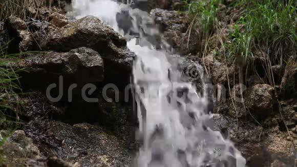 在森林中的小溪流中水雾在空中升起视频的预览图