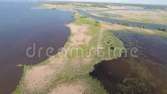 沼泽和湖泊空中视频1视频的预览图