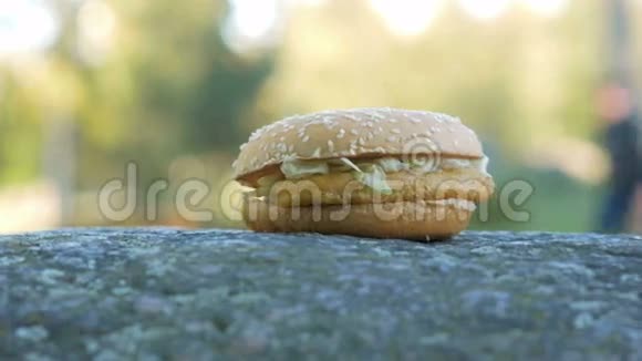 准备好美味的汉堡和鸡躺在岩石上在模糊的人行走的背景下移动摄像机视频的预览图