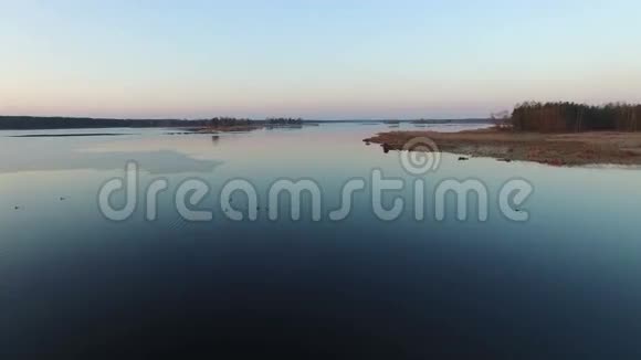 4K低飞行和起飞在野生湖泊与鸭子在早春日落空中视频的预览图