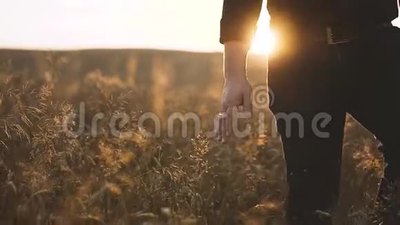 在日落时散步和触摸麦穗视频的预览图