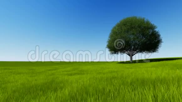 蓝天青山上的全高清树视频的预览图