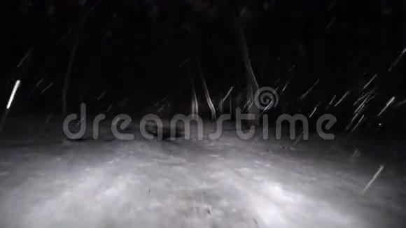 晚上在下雪的路上开车穿过冬天的森林视频的预览图