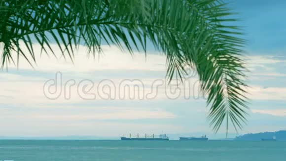 美景油轮在海洋中随船离去前景中有棵棕榈树视频的预览图