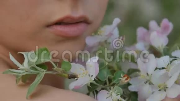 女孩的脸贴在苹果树花的背景上视频的预览图