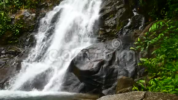 自然视频森林中的一个小瀑布雨后水流穿过岩石隐藏在森林中的瀑布视频的预览图